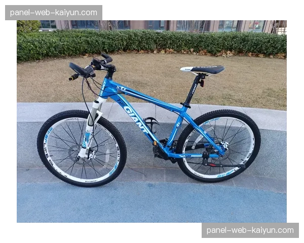 二手高端山地车市场火热，部分经典车型价格不降反升