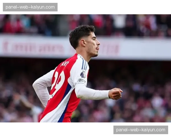 英超将禁止球衣正面博彩广告，多家俱乐部面临商业收入缺口